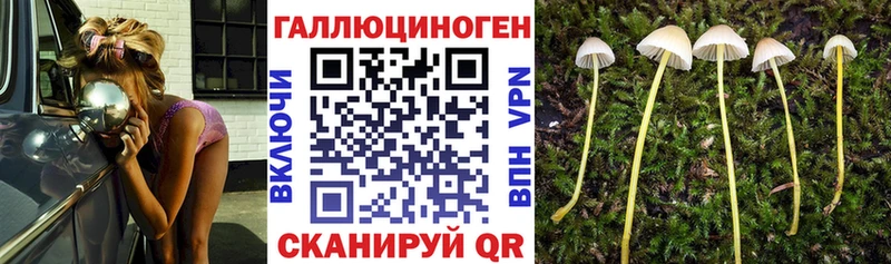 Псилоцибиновые грибы прущие грибы Сызрань